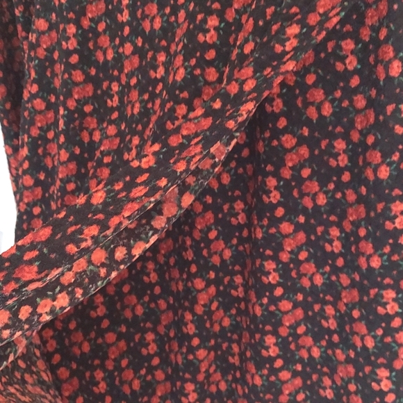 Black Halo Dress, Size 4, Long Sleeves, Mini, Black with Red Roses Floral Print - Picture 9 of 12